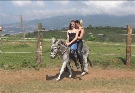 hard riding sex|Hard Riding Sex Porn Videos .